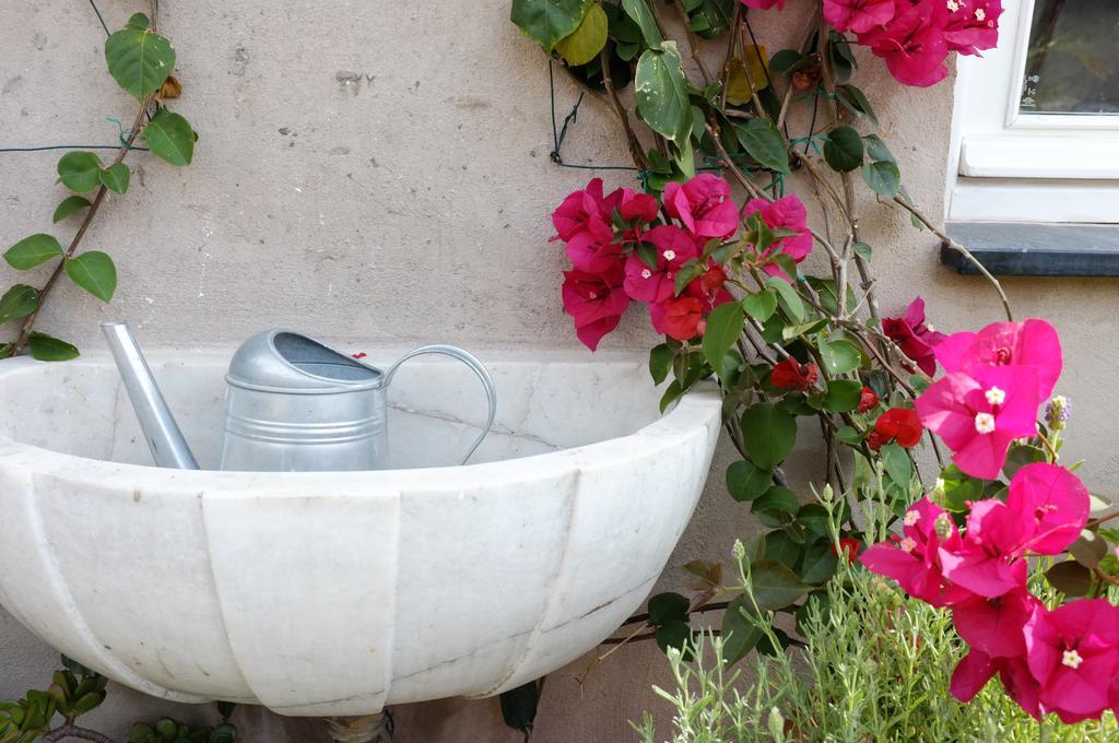 La Terrazza Di Vico Olivi B&B Ventimiglia Exterior photo