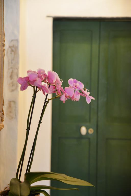La Terrazza Di Vico Olivi B&B Ventimiglia Exterior photo